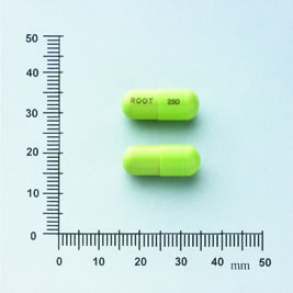 OXYTETRACYCLINE HYDROCHLORIDE CAPSULES 250MG "R.T" "羅得"塩酸羥四環素膠囊２５０公絲