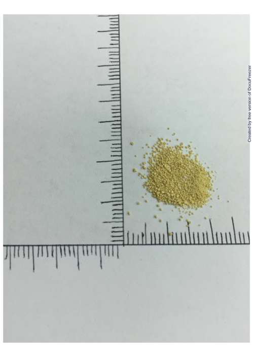 PABRON COUGH GRANULES 大正百保能克喘咳顆粒