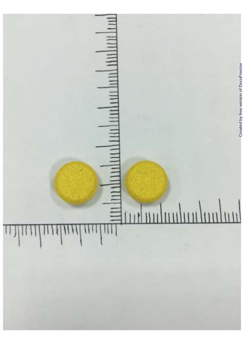 TAISHO SHISHAYAKU TABLETS 大正止瀉藥錠