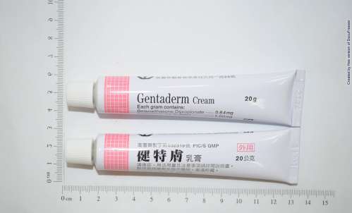 GENTADERM CREAM 健特膚乳膏(1)