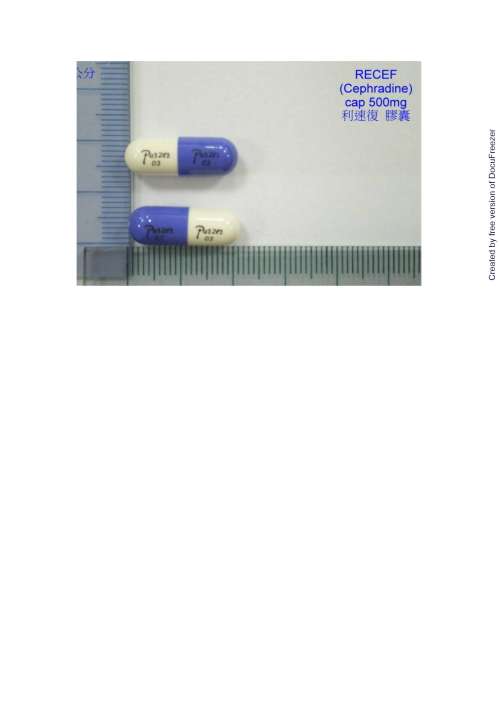 RECEF CAPSULE 500MG (CEPHRADINE) "PURZER" "瑞安"利速復膠囊５００毫克（西華定）