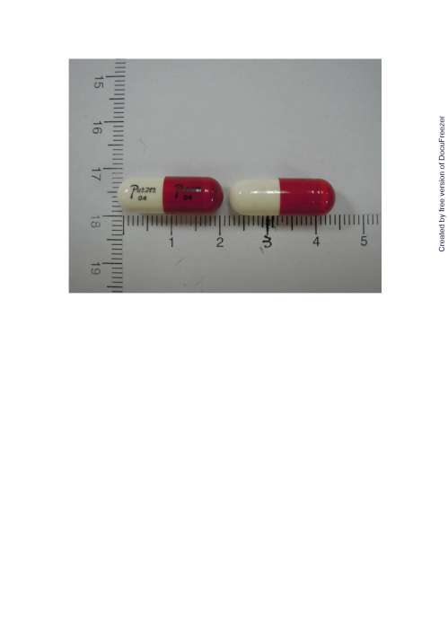 COLD-FREE COLD CAPSULES 康利舒冒感冒膠囊