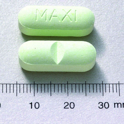 MAX-CAL CHEWABLE TABLETS 500MG (CALCIUM CARBONATE) "S.S.P." "順生"瑪斯－鈣咀嚼錠５００毫克（碳酸鈣）