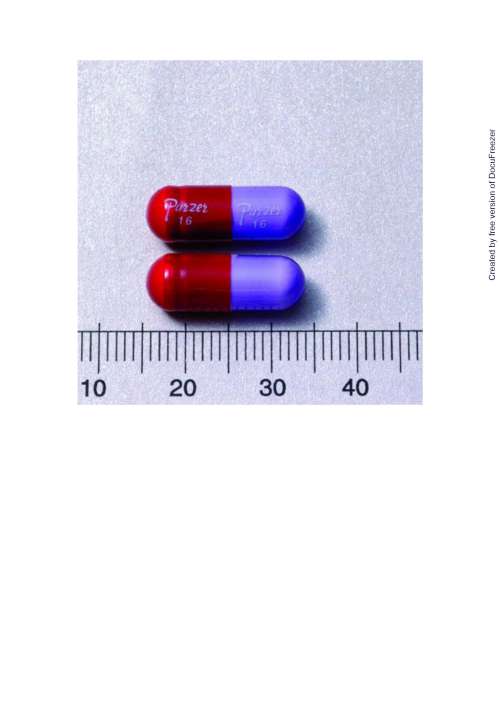 VICIN CAPSULE 150MG (CLINDAMYCIN) "PURZER" "瑞安"維欣膠囊１５０毫克（克林達黴素）