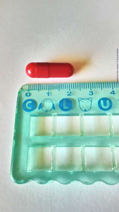 YOKANNENG CAPSULES "C.A." "長安" 樂肝能膠囊