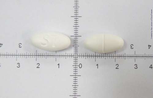 GEM-S F.C. TABLETS 600MG (GEMFIBROZIL) "S.T." 伏脂膜衣錠６００公絲（健菲布酯）