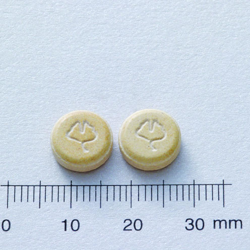 Zhimaineng Ginkgo Biloba Tablets 9.6mg 治脈能錠9.6毫克