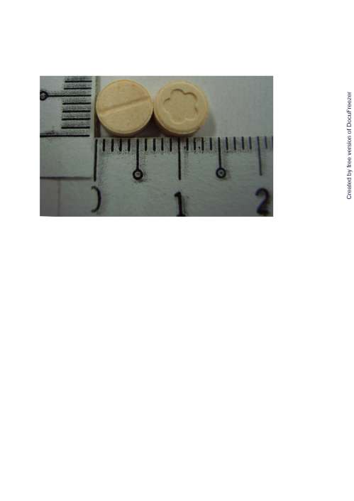 COS TABLETS "CHINTENG" "井田" 咳息錠