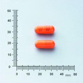 NIFECARDIA CAPSULES 10MG (NIFEDIPINE) 冠脈循膠囊１０公絲（尼菲待平）