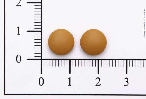 VEINTONIC F.C. TABLETS 9.6MG "SWISS"(GINKGOFLAVONGLYCOSIDE) "瑞士" 脈通膜衣錠９．６毫克（銀杏葉類黃酮配醣體）