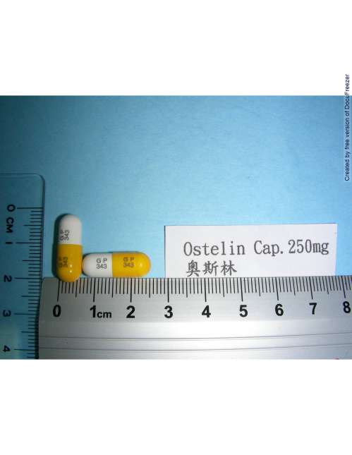 OSTELIN CAPSULES 250MG (GLUCOSAMINE SULFATE) "政德"奧斯林膠囊250毫克(硫酸固可沙明)