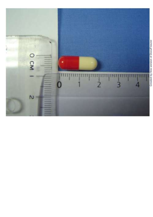 GLUC CAPSULES 250MG "S.Y."(GLUCOSAMINE SULTATE) "壽元"固骨膠囊250毫克（硫酸固可砂明）