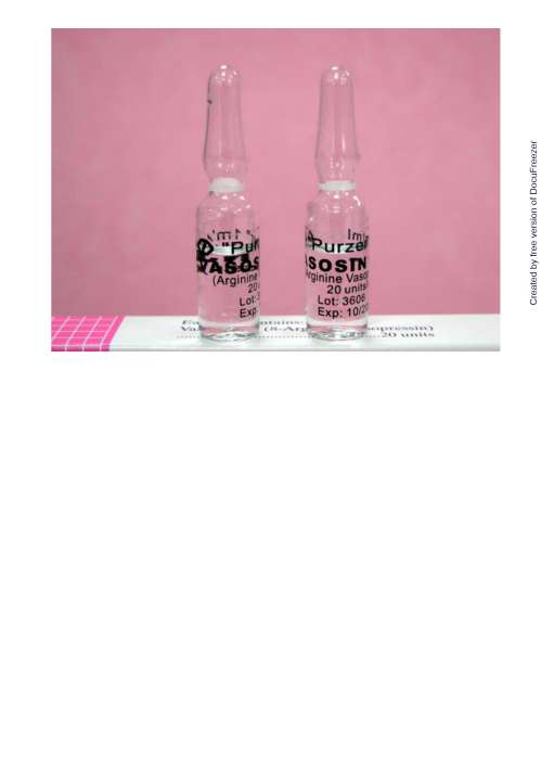VASOSIN INJECTION 20UNITS/ML "PURZER" (ARGININE VASOPRESSIN) "瑞安" 必縮升注射液２０單位/公撮（氨胍戊酸血管加壓素)