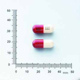 CUINE CAPSULES 250MG "C.C.P.C"(GLUCOSAMINE SULFATE) 〝中國化學〞骨營膠囊250毫克（硫酸固可沙明）