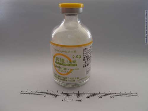SINTUM FOR INJECTION "信東"信騰注射劑