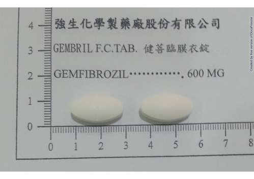 GEMBRIL F.C TABLETS 600MG "JOHNSON"(GEMFIBROZIL) "強生"健菩臨膜衣錠６００公絲（健菲布旨）