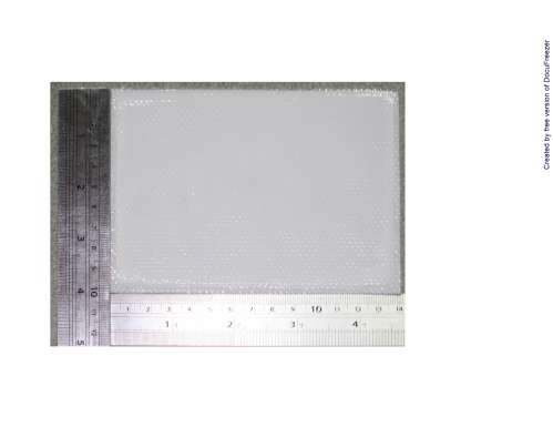 FUBIFEN PAP "FM" 氟比洛芬貼布　〝漁人〞