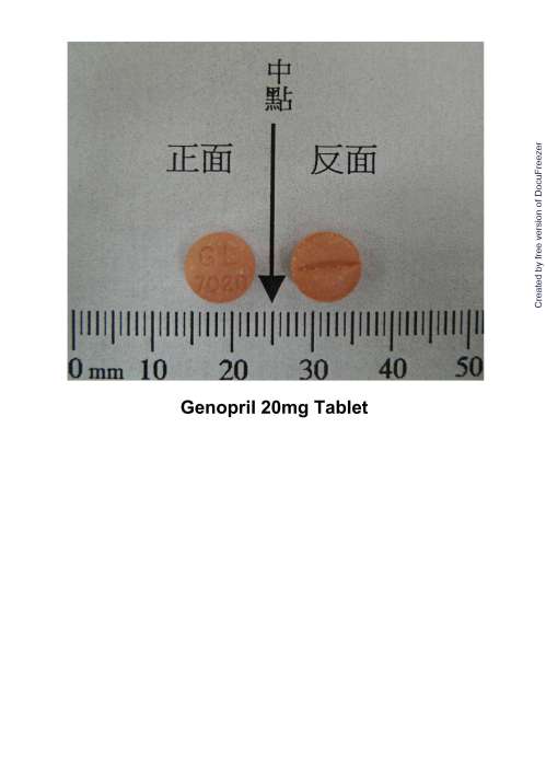 GENOPRIL 20MG TABLET 居諾普錠２０公絲