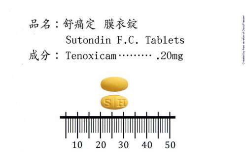 SUTONDIN 20MG F.C. TABLETS "H.S." 舒痛定２０公絲膜衣錠〝華興〞