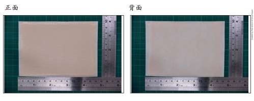 LA CHIAO JYH TONG PAP "T.S." "得生" 辣椒治痛藥布