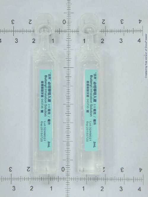 BUTANYL INHALATION SOLUTION 2.5MG/ML (TERBUTALINE SULFATE) "信東"必坦寧吸入液2.5毫克/毫升