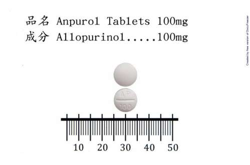 ANPURIN TABLETS 100MG (ALLOPURINOL) "H.S." 安普林錠１００公絲（異票呤醇）〝華興〞