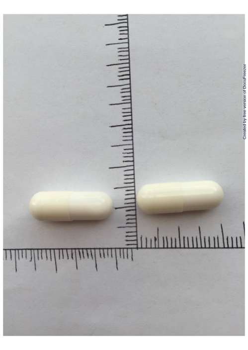 Pabron Rhinitis Capsules 大正百保能鼻炎膠囊