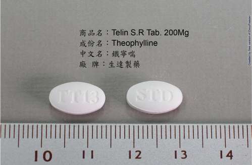 TELIN S.R. TABLETS 200MG "STANDARD" ”生達”鐵寧喘持續性錠２００毫克