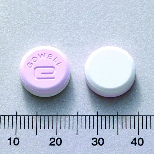 GOWELL TABLETS "WECAM" "惠勝" 固胃錠