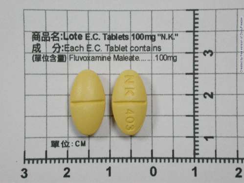 LOTE E.C. TABLETS 100MG "N.K." "南光" 樂得腸溶錠１００公絲