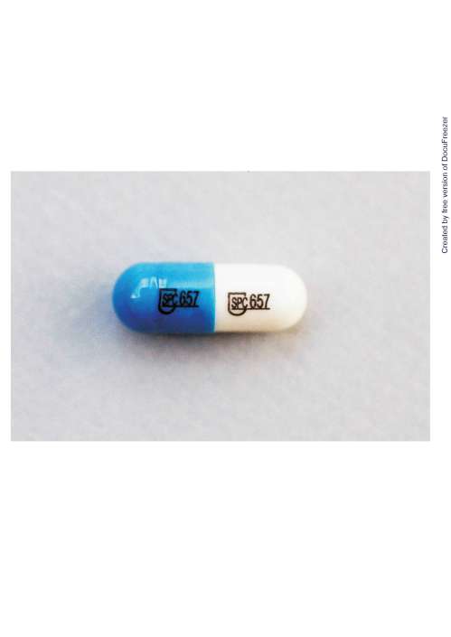 YES-Z CAPSULES "SL" "信隆" 夜舒寧 膠囊