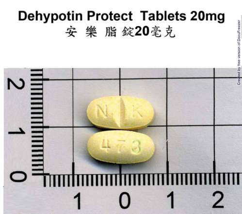Dehypotin Protect Tablets 20mg 安樂脂錠 20 毫克