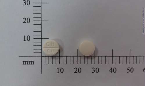 Diaban Tablets 100mg “C.H.” ”正和”抑醣錠 100 毫克