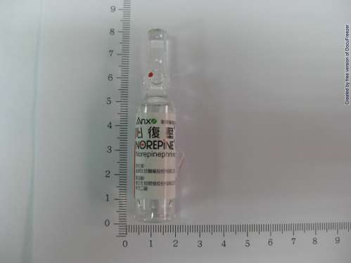 Norepine Injection 心復壓注射劑