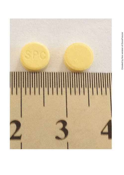 Folic-aid Tablets 1mg "S.L." "信隆"補葉素錠1毫克
