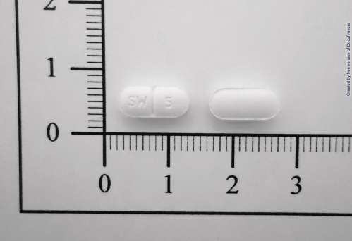 Ramily Tablets 5mg 瑞敏利錠5毫克