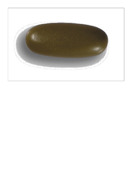 ESSENTIALE CAPSULES 肝得健膠囊