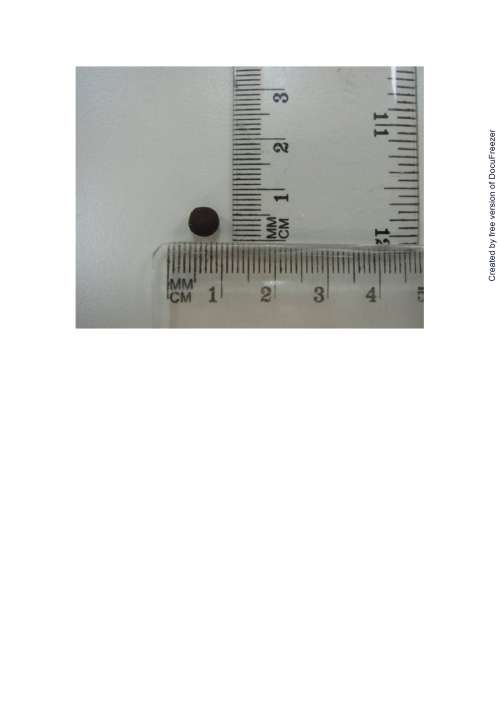 HONPO SEIROGAN 立山正露丸