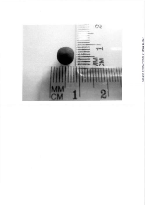 SEIROGAN "KYOKUTO" "極東"正露丸