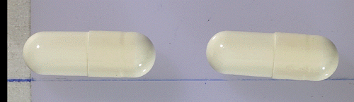 AMPLIUM CAPSULE 375MG 安博林膠囊３７５公絲