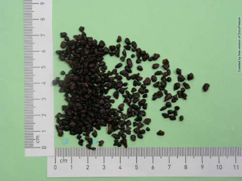 NORMACOL PLUS GRANULES 樂瑪可顆粒