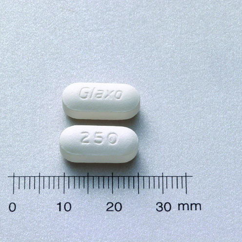 ZINNAT TABLET 250MG 欽納特錠２５０公絲