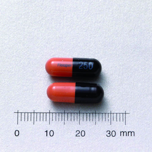 FLOXAPEN CAPSULES 250MG 福樂黴林膠囊２５０公絲