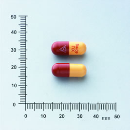 LESCOL CAPSULES 40MG 益脂可膠囊40毫克