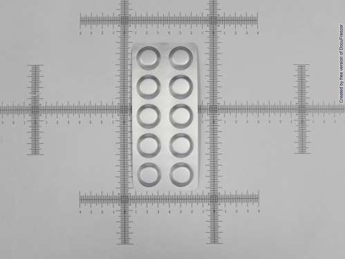 PENTASA PROLONGED-RELEASE TABLETS 500MG 頗得斯安持續性藥效錠５００公絲