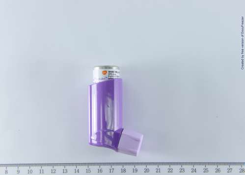 SERETIDE 125 EVOHALER 使肺泰125優氟吸入劑