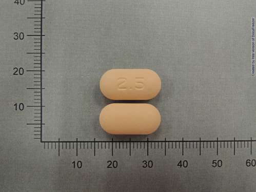 GLUCOVANCE TABLETS 500MG/2.5MG 庫魯泛斯錠 500毫克/2.5毫克