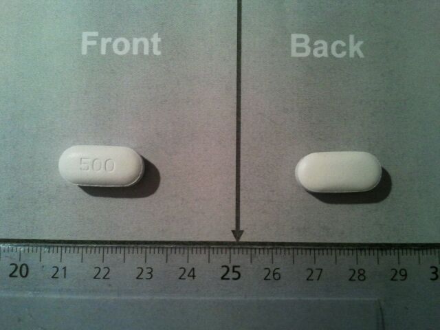 Glucophage XR 500 mg Prolonged Release Tablets 顧糖維緩釋錠 500 毫克