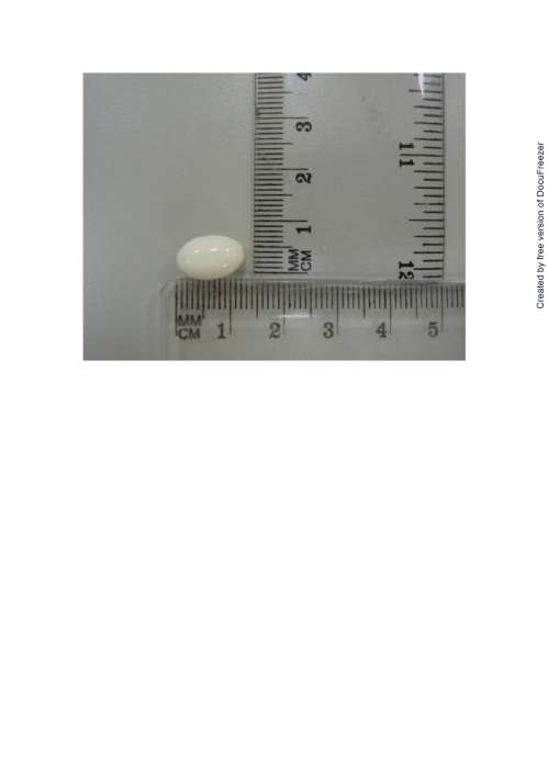 BIENRICK PE SOFT 鼻炎立克軟膠囊