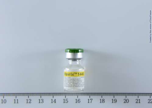 HAVRIX 1440/720 JUNIOR 新赫寶克